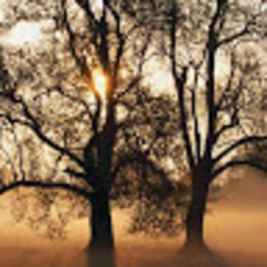 Meet your Posher, Tessa